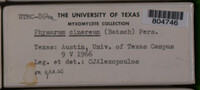 Image Associated With the Occurence